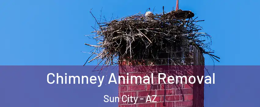  Chimney Animal Removal Sun City - AZ