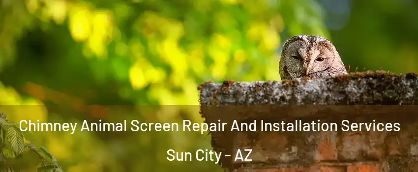  Chimney Animal Screen Repair And Installation Services Sun City - AZ