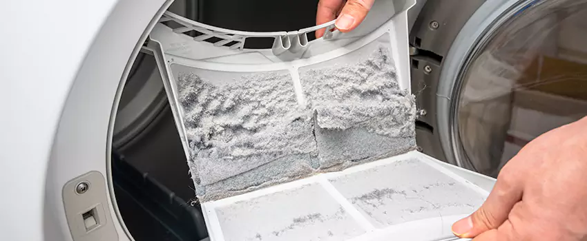 Best Dryer Lint Removal Company in Sun City, Arizona