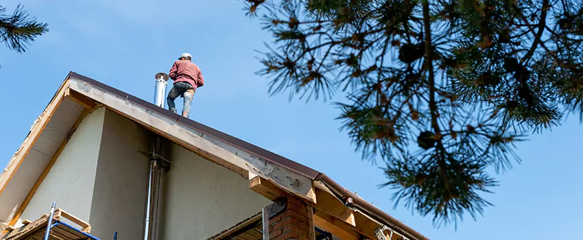 Birds Removal Contractors from Chimney in Sun City, AZ