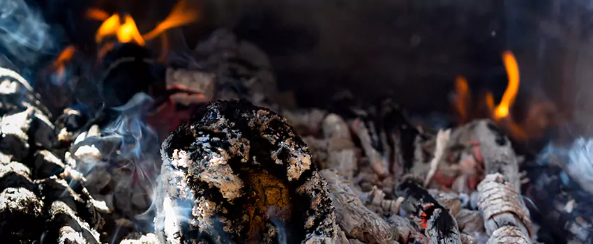 Creosote Removal Experts in Sun City, AZ